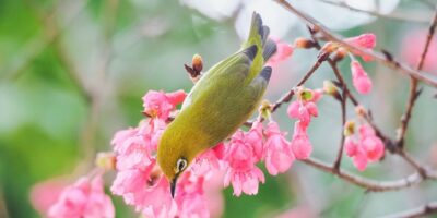 24張「很廢卻又忍不住笑出來」的日常冷幽默插畫