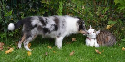 中職／半年在台灣 王建民近全職教練