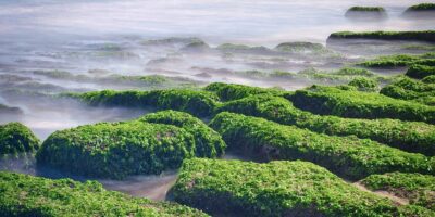 入內請戴墨鏡！　韓國畫家創造「戀愛插畫」　談戀愛的人都懂