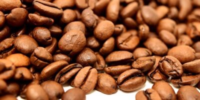 嘉義縣茶農勇奪全國紅茶製茶競賽1冠軍1亞軍2季軍