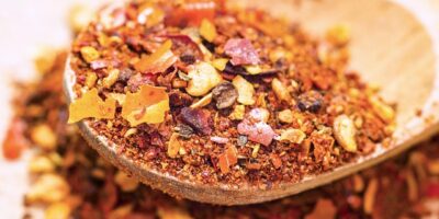 大崙國小代表嘉義縣參加全國「健康體位績優學校遴選」勇奪特優學校第一名