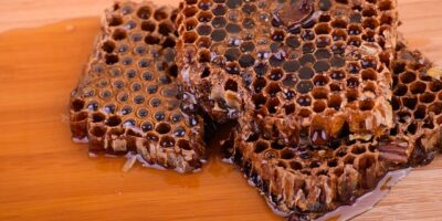 守護學子健康！臺東縣公東高工及馬蘭國小4月1日起列為全面禁止吸菸場所