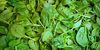 守護學童健康安全！黃偉哲今宣布4月25日起國小校園暫停對外開放