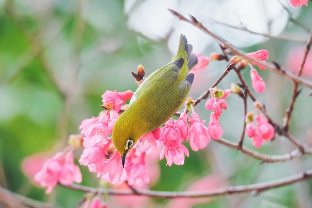 時尚「梳子指甲」成最新潮流　每天抓頭就能梳頭髮很方便
