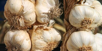 朴子大同國小中央廚房揭牌 石斑魚料理躍上餐盤