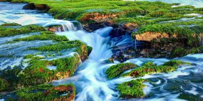 李佳芬禮服藏韓國瑜「9字玄機」　金包銀款式曝光