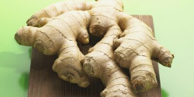 貓村防疫期間，動保處呼籲以拍照代替逗貓 以維護貓咪健康