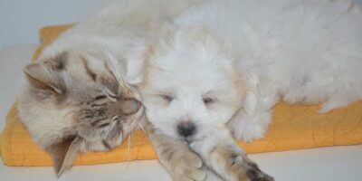 這些愛，溫暖了整個2018