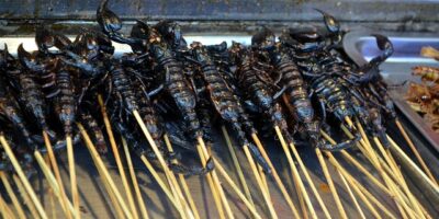 連假仍堅守崗位守護民眾安全 翁章梁親自提粽子小吃前往民雄慰問警消辛勞