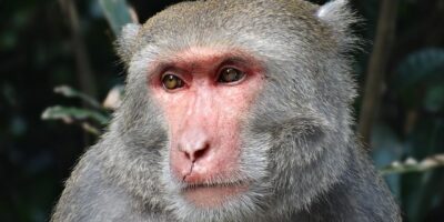 高雄夜市喊漲　韓國瑜怒了：哪有………